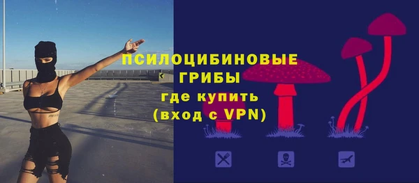 шишки Михайловск