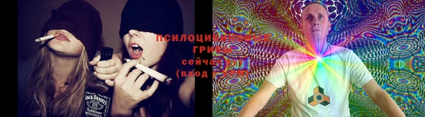 мяу мяу кристалл Медвежьегорск