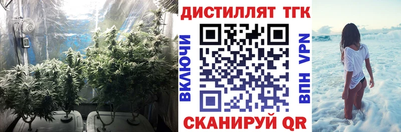 Дистиллят ТГК Wax kraken ССЫЛКА Николаевск-на-Амуре наркошоп